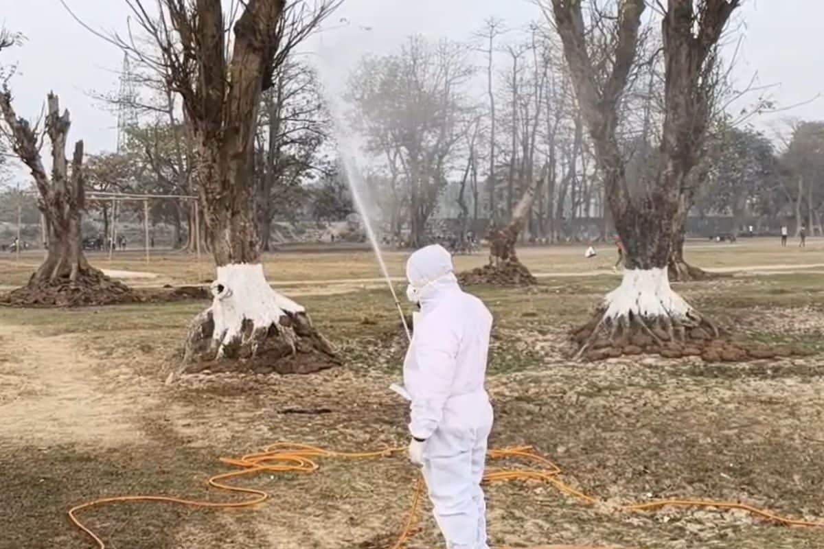 सावधान! बिहार में फिर लौट आई खतरनाक बीमारी, सैकड़ों कौवे हुए शिकार, आप भी रहें अलर्ट