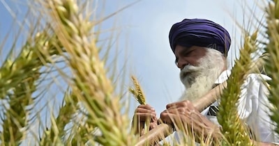 भारत और अमेरिका के बीच ट्रेड डील के साथ दोनों देशों की साझेदारी एक कदम और आगे बढ़ गई.