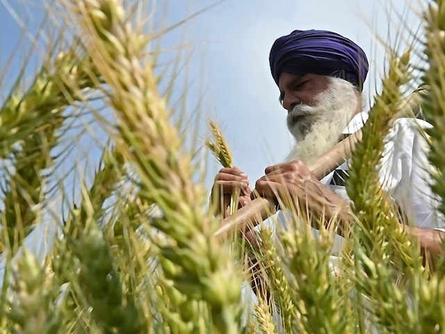 US के साथ खेती और डेयरी को लेकर क्या हुई डील? समझें भारत ने कैसे मारी बाजी
