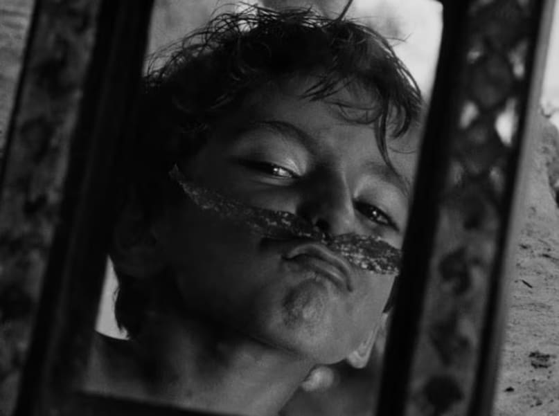 Indian films based on books, Bollywood book adaptations list, Best literary movies India, Pather Panchali to O Romeo, Classic Indian cinema highlights, किताबों पर आधारित फिल्में, पाथेर पांचाली सत्यजीत रे, बॉलीवुड की बेहतरीन कहानियां, ओ रोमियो शाहिद कपूर, ओ रोमियो रिलीज डेट