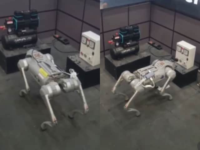 এখন নিরাপত্তারক্ষী নেই, এআই রোবট 'পুচ্চু' নজরদারি করবে প্রতিষ্ঠানটি