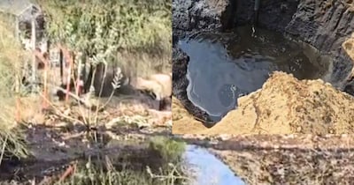 Barmer Crude Oil Leak: Aishwarya Well Pad-8 Shut Down, Leakage to Stop Soon