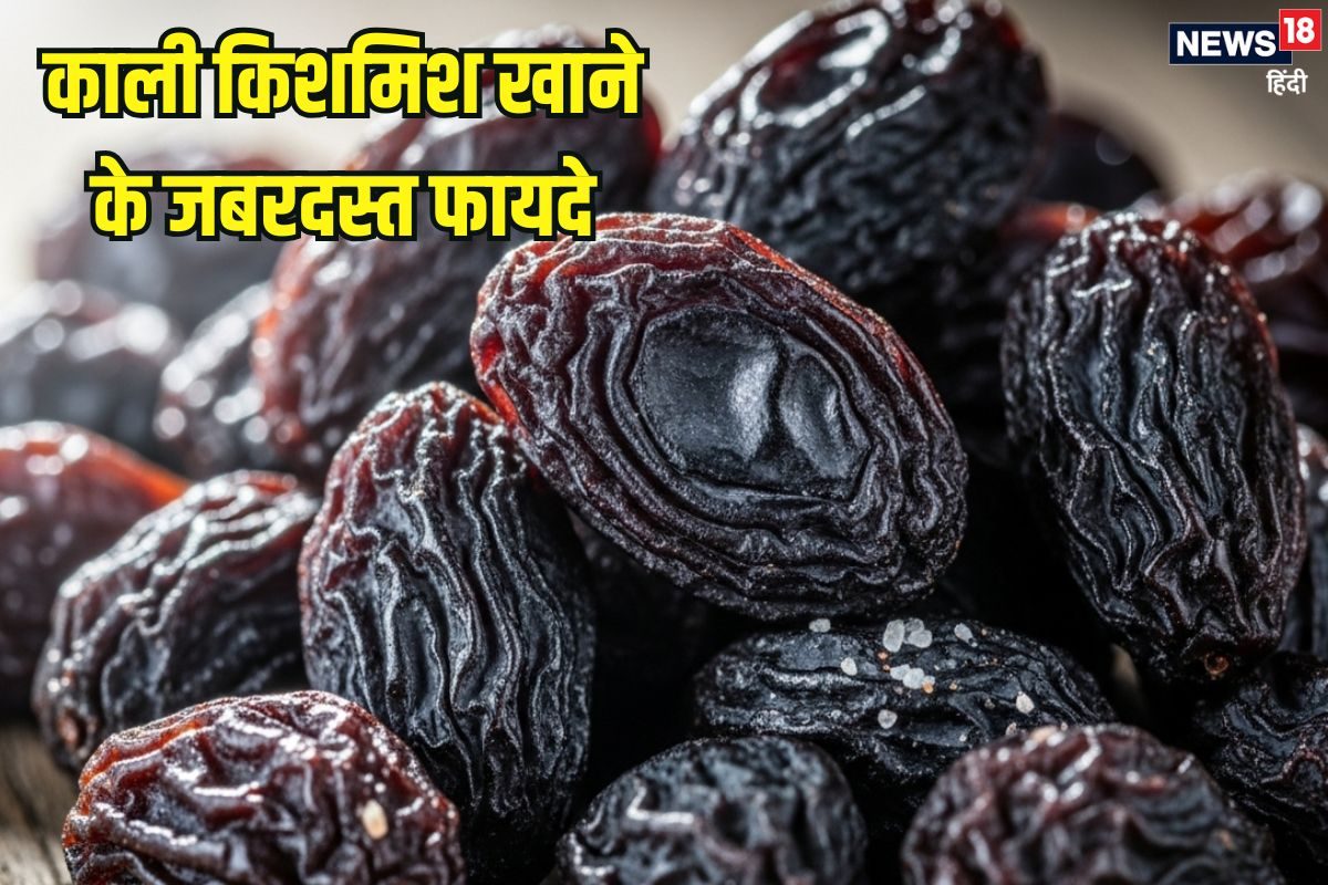Kali kishmish ke fayde: क्या होगा अगर आप रोज खाएंगे काली किशमिश? जानें इसके जबरदस्त फायदे, 1 दिन में कितना खाएं