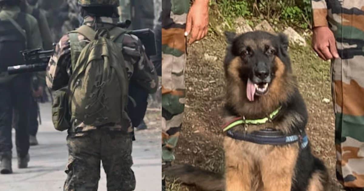 टाइसन... इंडियन आर्मी को वो साइलेंट वॉर‍ियर, ज‍िसने आतंक‍ियों की माद में घुसकर मचाया कत्‍लेआम