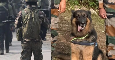 टाइसन का उधमपुर आर्मी अस्पताल में इलाज चल रहा है. 