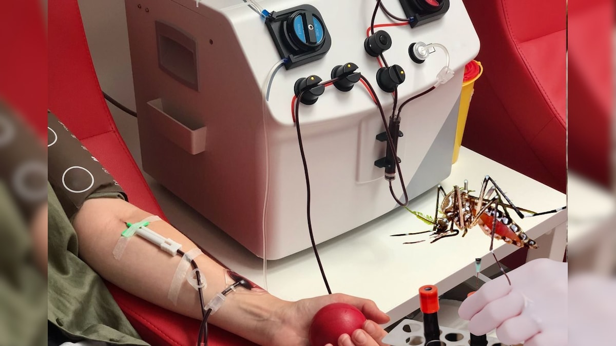 डेंगू मरीजों को अब परेशान होने की जरूरत नहीं, अस्पताल में ही मिल जाएगा प्लेटलेट्स