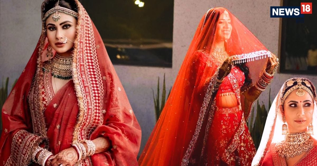 वेडिंग लुक में चाहती हैं रॉयल टच? ट्राई करें ‘डबल दुपट्टा’ ट्रेंड, सेलेब्रिटी ब्राइड्स की है पहली पसंद! जानें स्टाइलिंग के सीक्रेट्स