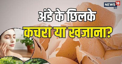  अंडे का छिलका लगभग 95% कैल्शियम कार्बोनेट से बना होता है. 