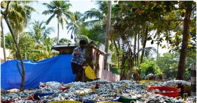 राष्ट्रीय मत्स्य डिजिटल प्लेटफॉर्म ने 12 राष्ट्रीयकृत बैंकों को अपने साथ जोड़ा है. (फाइल फोटो)