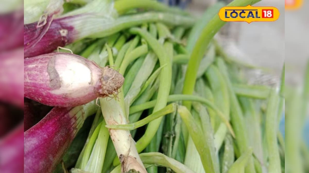 सेहत का खजाना है यह हरी पत्ती, कूट-कूटकर भरे हैं औषधीय गुण, इम्युनिटी बढ़ाए, दिल और पाचन रखे दुरुस्त