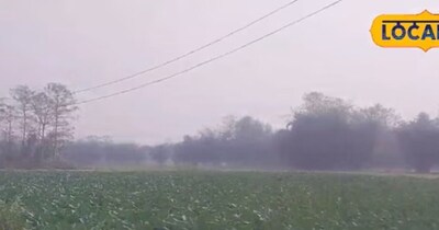 From Naxalite Hub to Vegetable Village: Rajadih's Remarkable Transformation