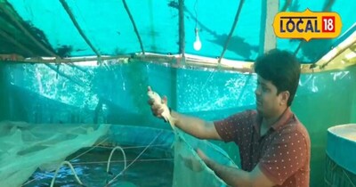 बायोफ्लॉक क्रांति: बिना जमीन के बनें मछली पालन के किंग, 40% तक बढ़ाएं आय