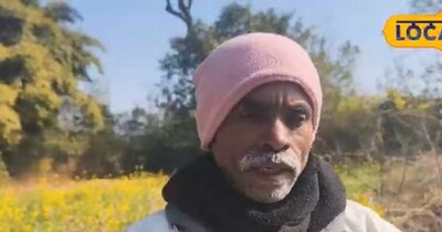 Farmer Turns 50 Dismil Land into 'Supermarket', Earns Daily Profit