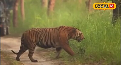 फाइल फोटो.