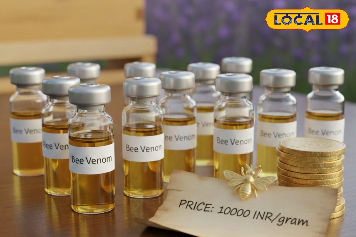 एक ग्राम बी वेनम की कीमत एक लाख रुपये जानिए क्यों है इतना महंगा