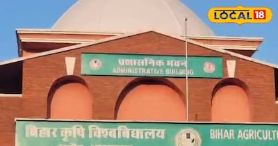 बीएयू की पहल से बिहार का शहद बनेगा ग्लोबल ब्रांड, किसानों को होगा बड़ा मुनाफा