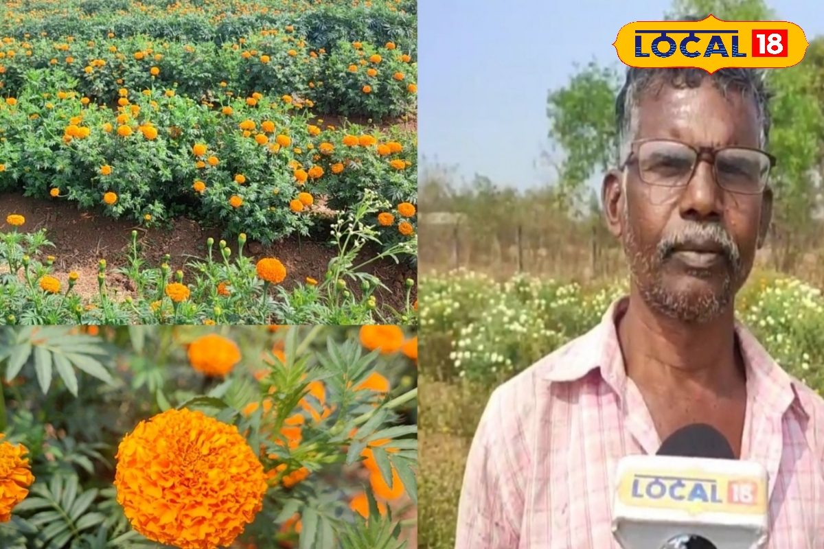 60 दिन में फूल 4 महीने तक कमाई! समझें बस्तर किसान का सुपर कमाई फसल फार्मूला