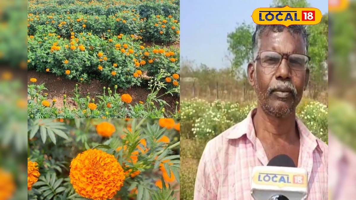 60 दिन में फूल, 4 महीने तक कमाई! समझें बस्तर किसान का सुपर कमाई फसल फार्मूला