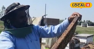 अपना खुद का रोजगार जोड़ने की सोच रहे युवाओं के लिए सुनहरा अवसर