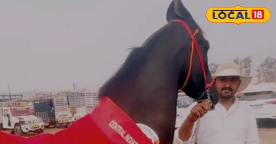 दुर्गाभारत घोड़ी और दिनेश भाकर