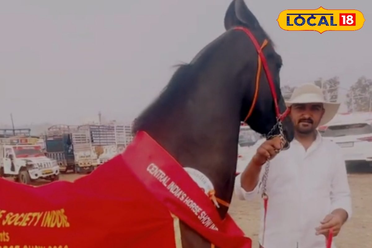 सीकर की मारवाड़ी घोड़ी दुर्गा भारत का कमाल राष्ट्रीय प्रतियोगिता में पहला स्थान