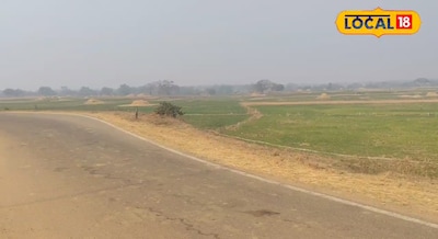 Jharkhand Weather Update - न्यूनतम तापमान में दो से तीन डिग्री की आज बढ़ोतरी, जम