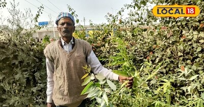 सरकार 50 फीसदी अनुदान देती है.