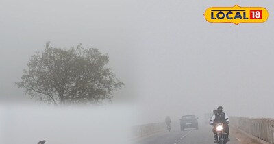 कोहरे की आगोश में भरतपुर