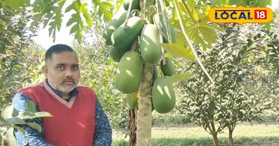 ओंकार सिंह