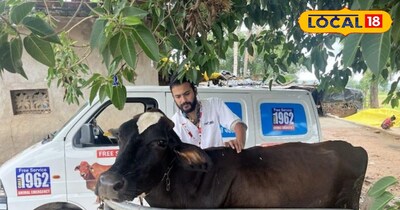 पशु टीकाकरण 