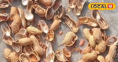 मूंगफली के छिलके 