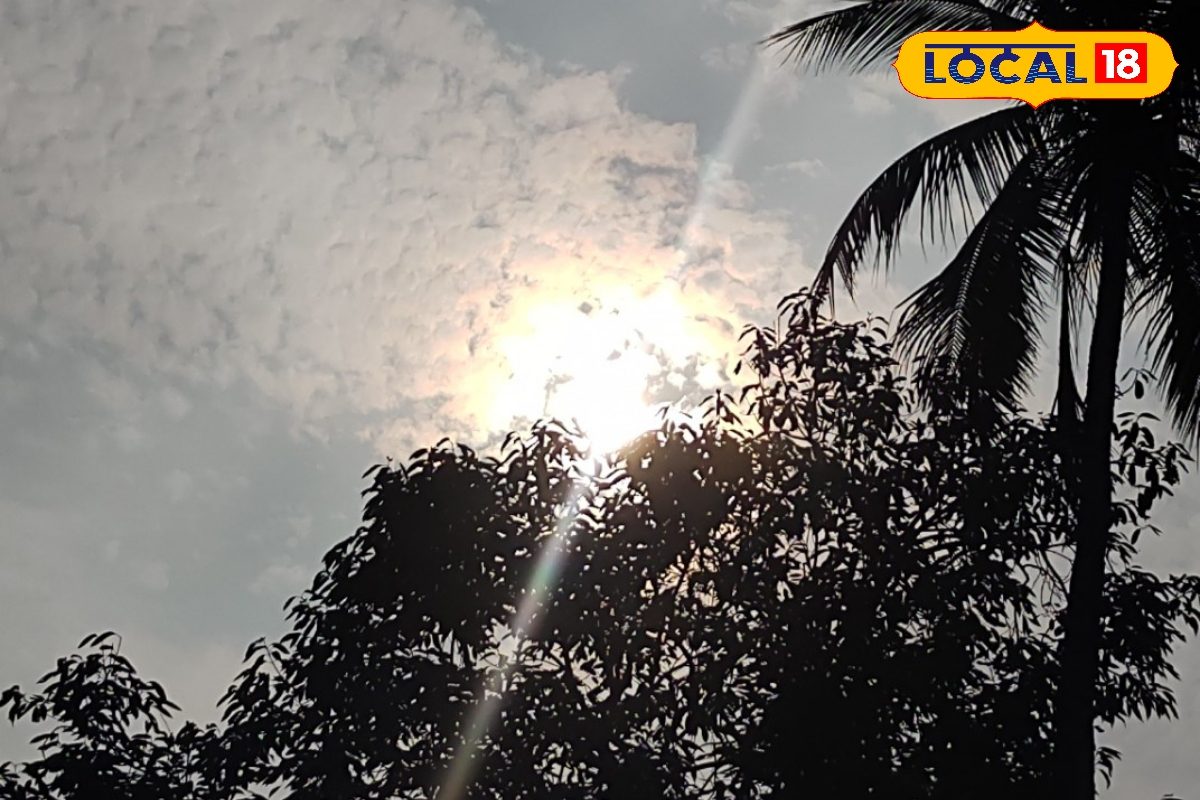 Bihar Weather: सीतामढ़ी-किशनगंज... इन जिलों में आज कोहरा, कल बारिश की संभावना, जानें इसके आगे का हाल