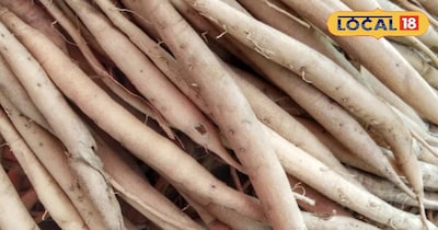 शतावरी सेहत के लिए है फायदेमंद।<br>