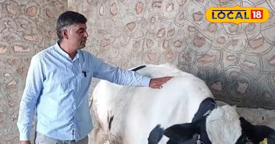 पशुपालक रमेश कुमार 