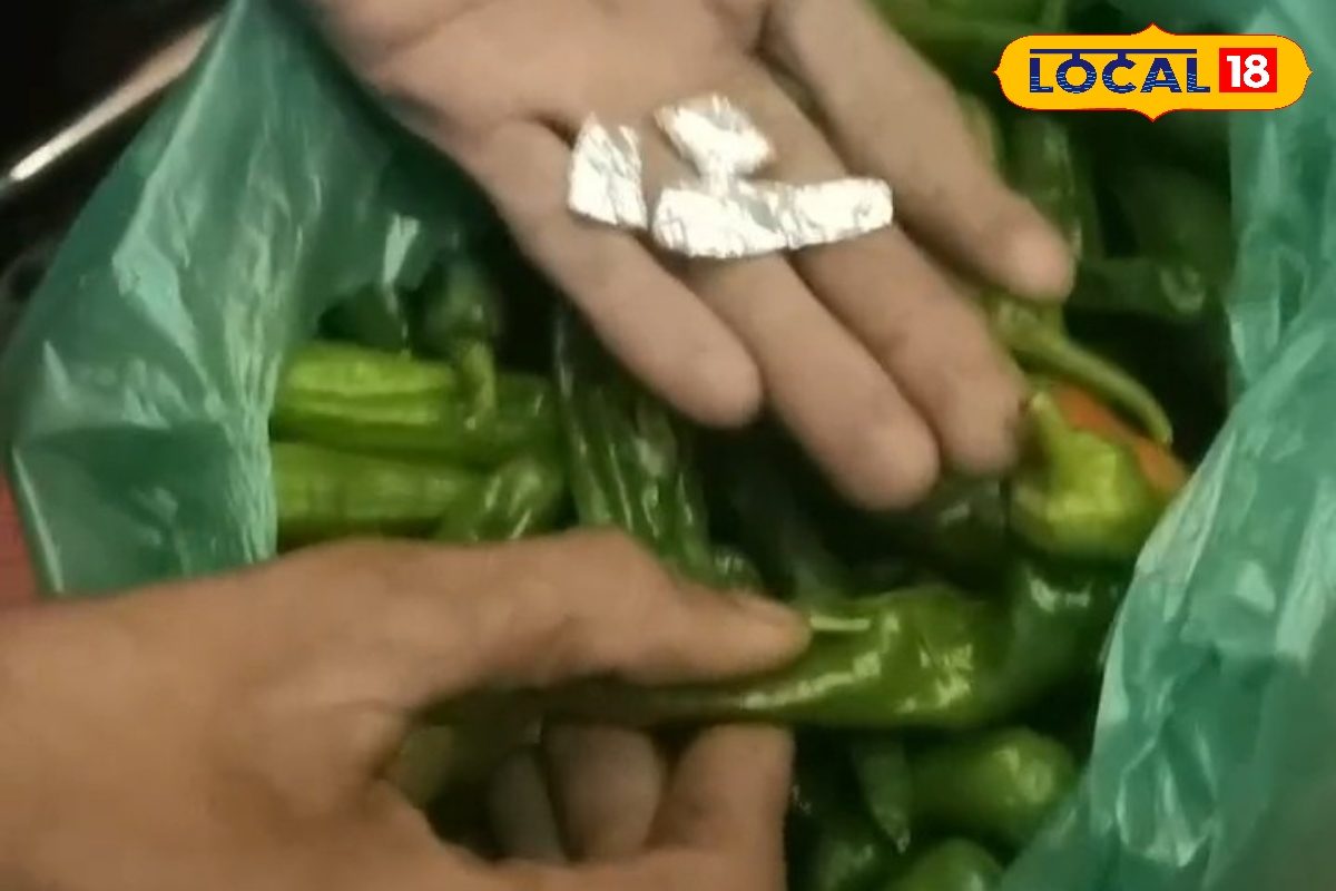 मिर्च में छिपा नशा! जोधपुर की मथानिया मिर्च बन गई ड्रग्स तस्करी का नया हथियार पुलिस भी रह गई हैरान