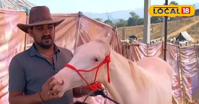 सीकर के दिनेश ने घोड़ों के शौक से खड़ा किया करोड़ों का बिजनेस.