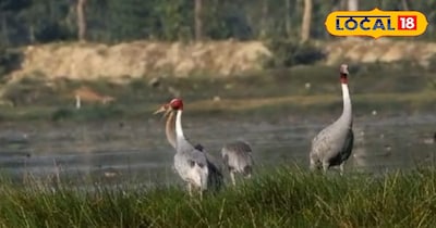 कमरावां झील बाराबंकी