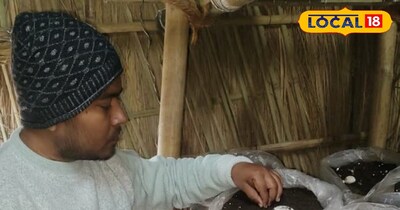 मशरूम की खेती।