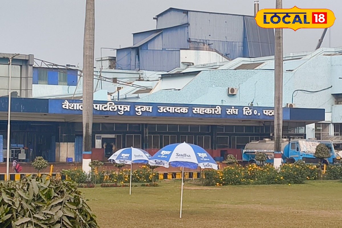 बचत भी, सेहत भी! सुधा लॉन्च करेगा पारंपरिक सरसों तेल, किसानों और ग्राहकों को होगा फायदा