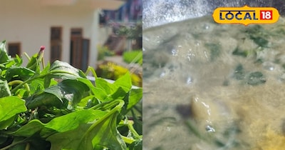 पालक की पहाड़ी सब्जी 