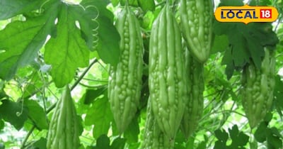 गर्मियों मे करें इन सब्जियों की खेती