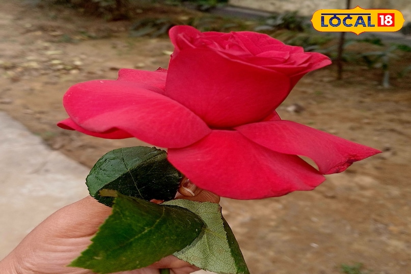 वैलेंटाइन गिफ्ट