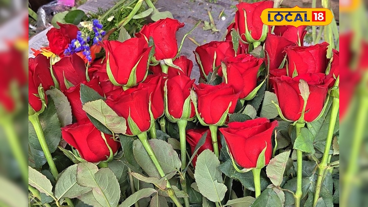 कोटा में फूलों की बरसात! स्टूडेंट सिटी में वैलेंटाइन का खुमार, गुलाबों की बढ़ती मांग से गुलजार हुए बाजार