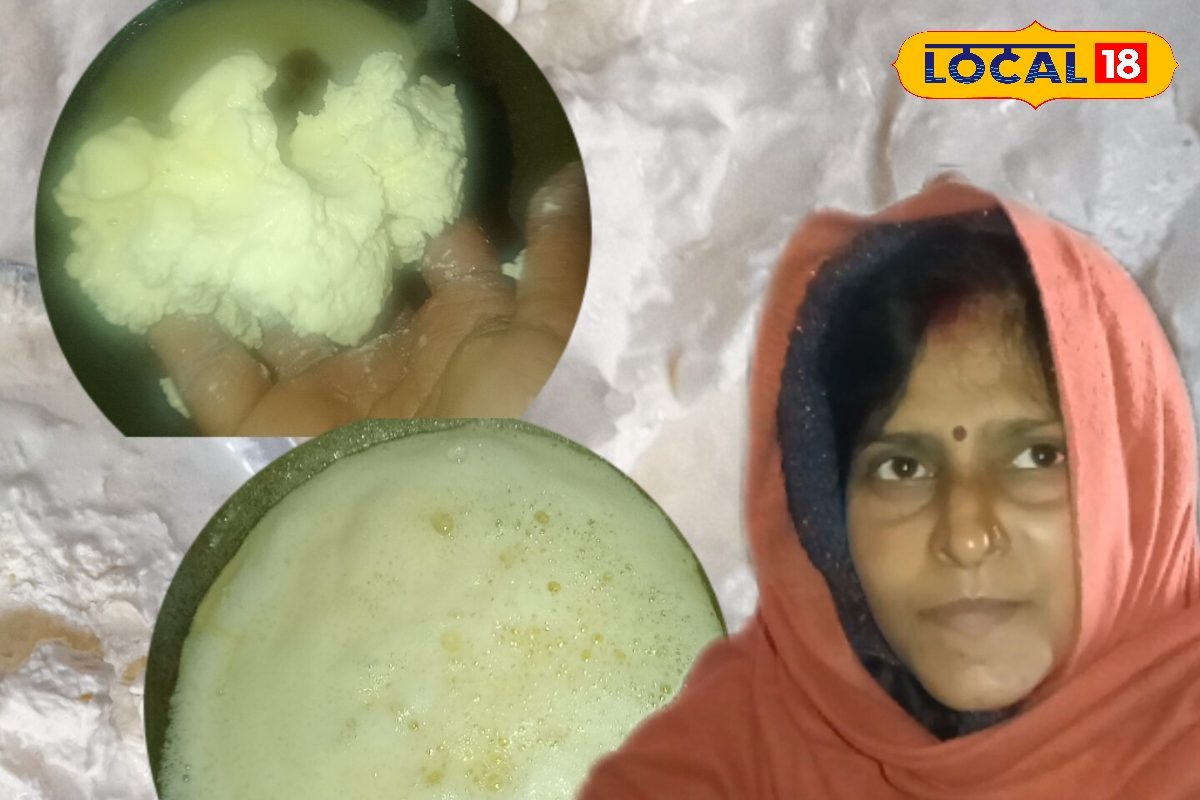 दूध से घी निकालने का देसी सीक्रेट, एकदम दानेदार निकलेगा घी, खुशबू से महक उठेगा घर, लोग पूछेंगे तरीका