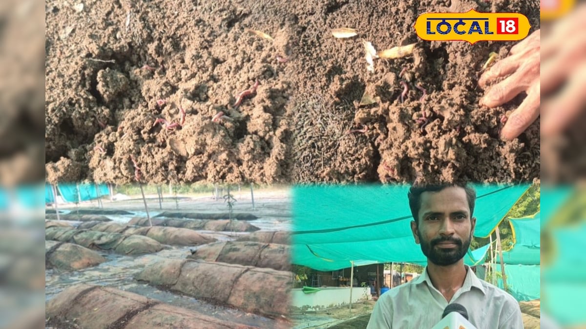 रासायनिक खाद को कहा अलविदा! जालौर के किसान ने केंचुओं से बदली किस्मत, वर्मी कम्पोस्ट से मिट्टी भी सोना उगलने लगी