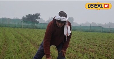 खेतों में काम करते हुए किसान ओम प्रकाश तिवारी 