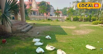 वीकेंड में इन जगहों पर जबरदस्त भीड़ होती है लोग अपने परिवार के साथ यहां घूमते है