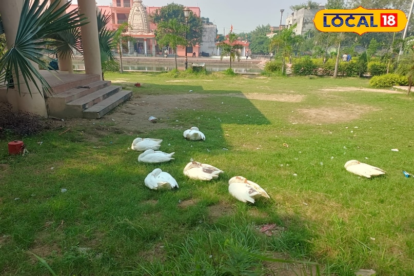 विंध्यवासिनी पार्क विंध्यवासिनी पार्क