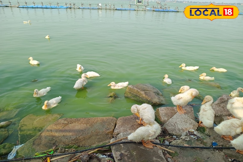 नौका विहार नौका विहार