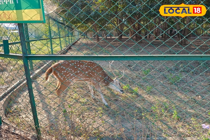 चिड़ियाघर चिड़ियाघर